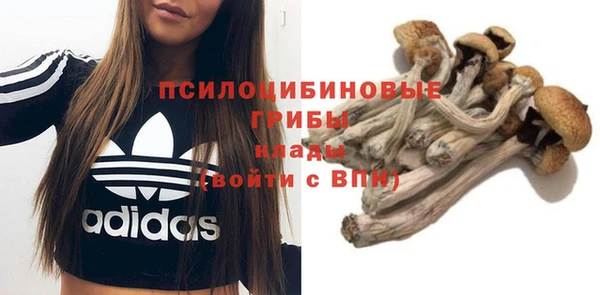 прущая мука Богородицк