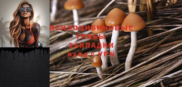 винт Богданович
